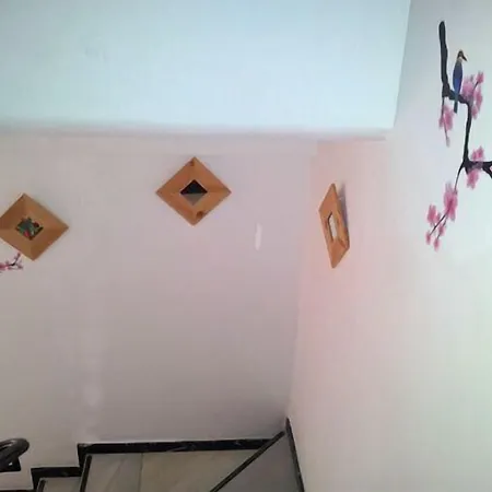 El Tio Mateo מארבלה